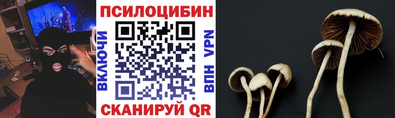 Псилоцибиновые грибы Psilocybe  магазин продажи наркотиков  Баймак 